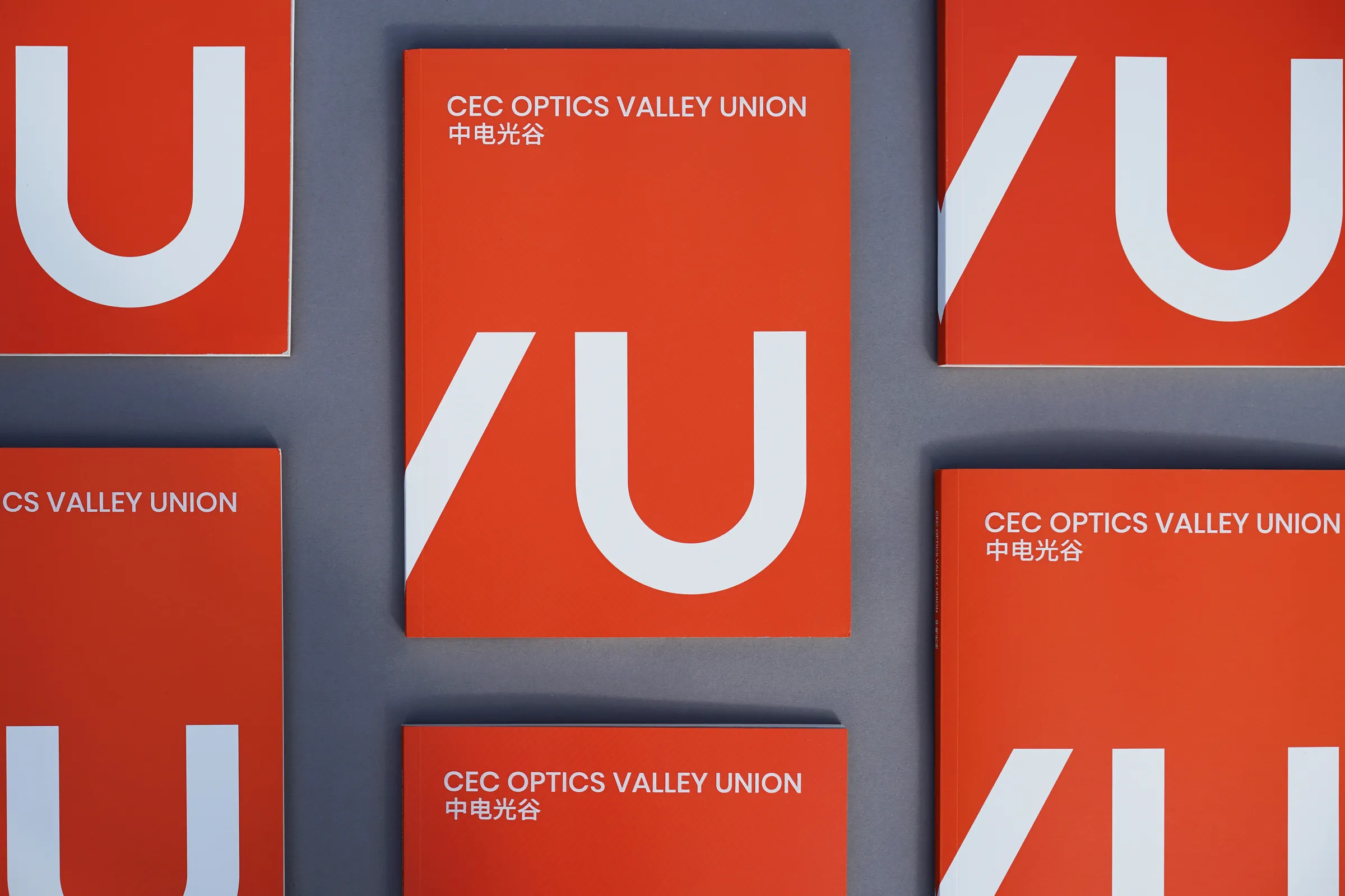 OVU 中电光谷 主视觉
